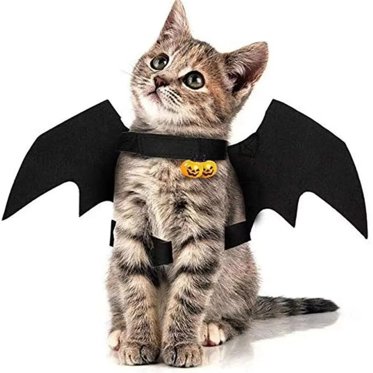 Pet Bat Wings Halloween Costume for Cats & Small Dogs